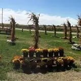 Buxton's Garden Farm & Flower Shop photo