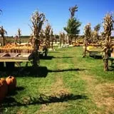Buxton's Garden Farm & Flower Shop photo