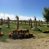 Buxton's Garden Farm & Flower Shop photo