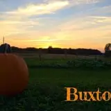 Buxton's Garden Farm & Flower Shop photo