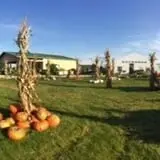 Buxton's Garden Farm & Flower Shop photo