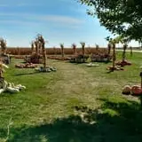 Buxton's Garden Farm & Flower Shop photo