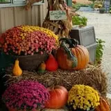 Buxton's Garden Farm & Flower Shop photo