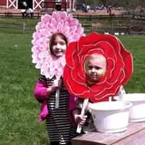 Maybury Farm Corn Maze & Pumpkin Festival photo