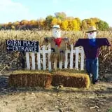 Maybury Farm Corn Maze & Pumpkin Festival photo