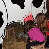 Maybury Farm Corn Maze & Pumpkin Festival photo