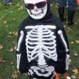 Maybury Farm Corn Maze & Pumpkin Festival photo