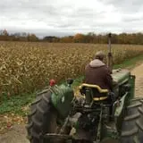 Maybury Farm Corn Maze & Pumpkin Festival photo