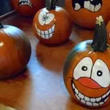 Maybury Farm Corn Maze & Pumpkin Festival photo