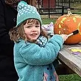 Maybury Farm Corn Maze & Pumpkin Festival photo