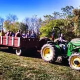 Maybury Farm Corn Maze & Pumpkin Festival photo