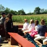 Maybury Farm Corn Maze & Pumpkin Festival photo