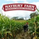Maybury Farm Corn Maze & Pumpkin Festival photo