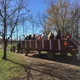 Maybury Farm Corn Maze & Pumpkin Festival photo