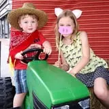 Maybury Farm Corn Maze & Pumpkin Festival photo