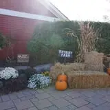 Maybury Farm Corn Maze & Pumpkin Festival photo