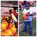 Maybury Farm Corn Maze & Pumpkin Festival photo