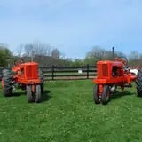 Maybury Farm Corn Maze & Pumpkin Festival photo