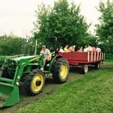 Maybury Farm Corn Maze & Pumpkin Festival photo