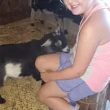 Maybury Farm Corn Maze & Pumpkin Festival photo