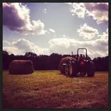 Maybury Farm Corn Maze & Pumpkin Festival photo
