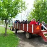 Maybury Farm Corn Maze & Pumpkin Festival photo