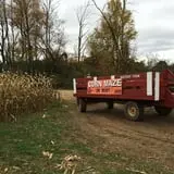 Maybury Farm Corn Maze & Pumpkin Festival photo