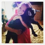 Maybury Farm Corn Maze & Pumpkin Festival photo
