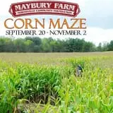 Maybury Farm Corn Maze & Pumpkin Festival photo