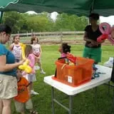 Maybury Farm Corn Maze & Pumpkin Festival photo