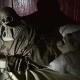 Literally, A Haunted House at The Culbertson Mansion photo