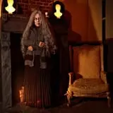 Literally, A Haunted House at The Culbertson Mansion photo