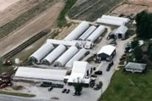 Whipkers Market and Greenhouse