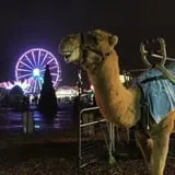 Anne Arundel County Fair Halloween Happening photo