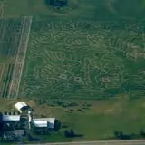Jacob’s Farm & Corn Maze photo