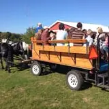 Jacob’s Farm & Corn Maze photo