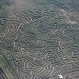 Jacob’s Farm & Corn Maze photo