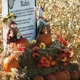 Jacob’s Farm & Corn Maze photo