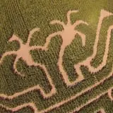 Jacob’s Farm & Corn Maze photo
