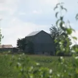 Jacob’s Farm & Corn Maze photo