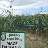 Jacob’s Farm & Corn Maze photo