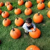 Jacob’s Farm & Corn Maze photo