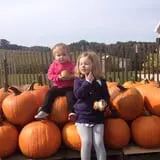Jacob’s Farm & Corn Maze photo
