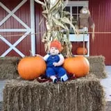Jacob’s Farm & Corn Maze photo
