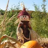 Jacob’s Farm & Corn Maze photo