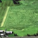 Jacob’s Farm & Corn Maze photo