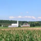 Jacob’s Farm & Corn Maze photo