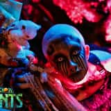Lake Hickory Haunts photo
