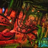 Lake Hickory Haunts photo