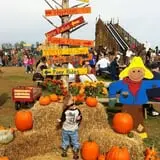 Boyd Orchards photo